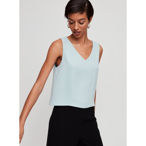 Aritzia Babaton Murphy Cropped Sleeveless Blouse
